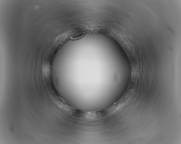 X0000112060623200908181159