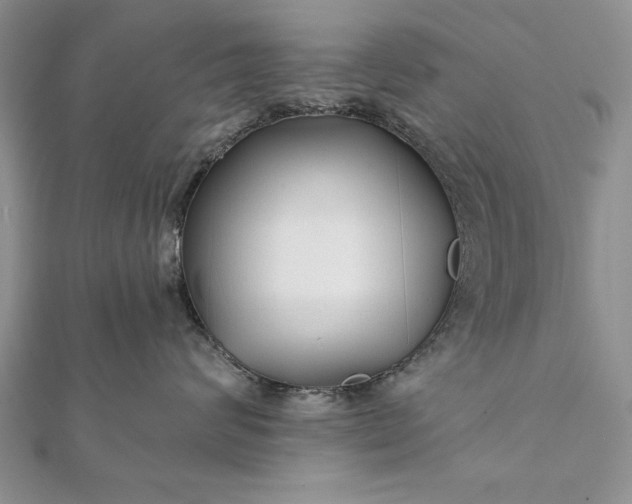 X0000112060624200908181159