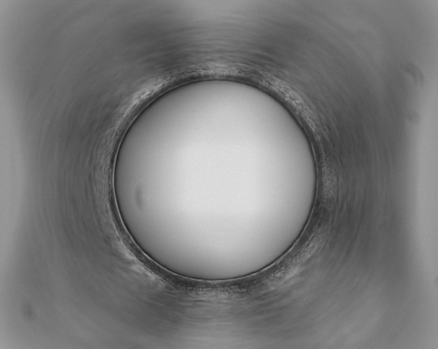 X0000112060625200908181159