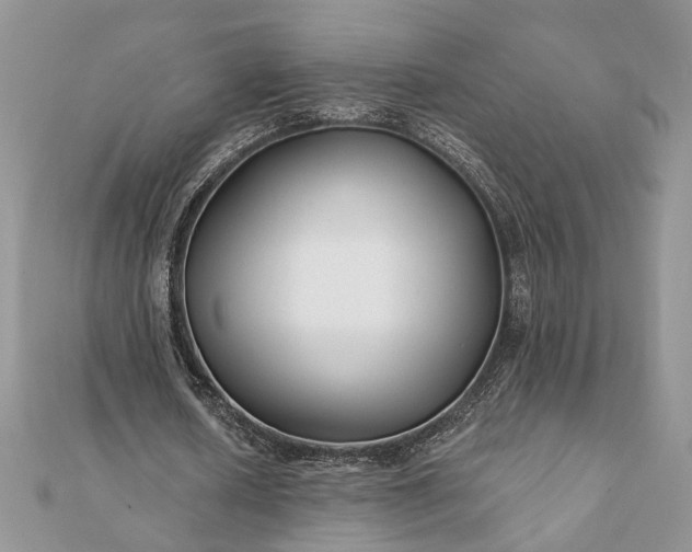 X0000112060626200908181159