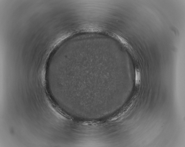 X0000112060627200908181159