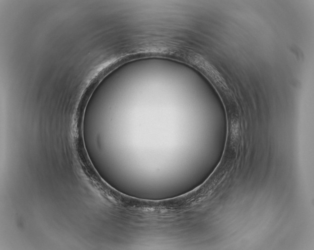 X0000112060628200908181159