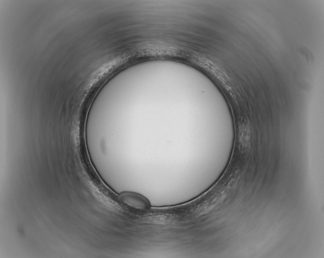 X0000112060629200908181159