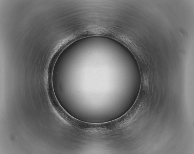 X0000112060630200908181159