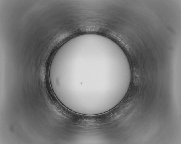 X0000112060631200908181159