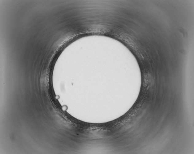 X0000112060632200908181159