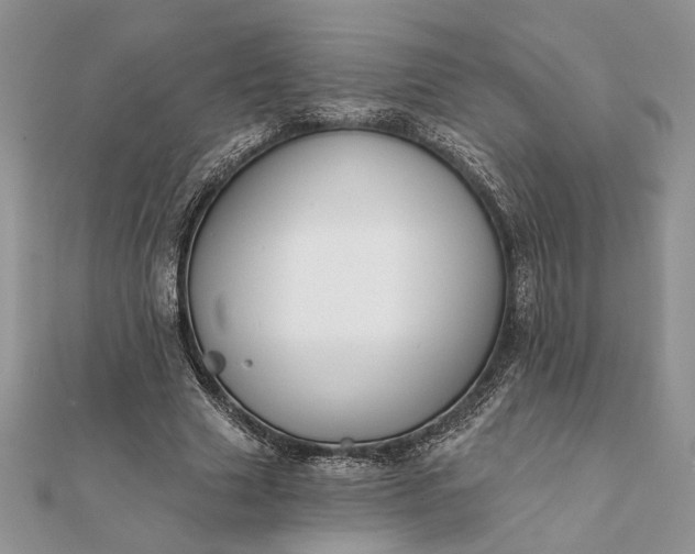 X0000112060633200908181159