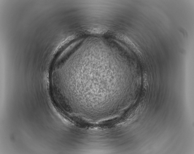 X0000112060634200908181159