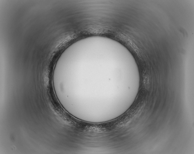 X0000112060635200908181159