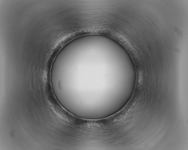 X0000112060636200908181159