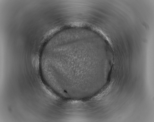 X0000112060637200908181159