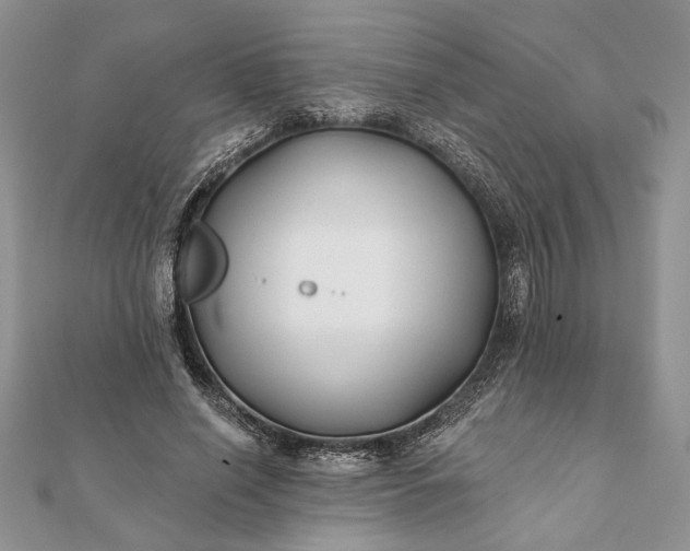 X0000112060638200908181159