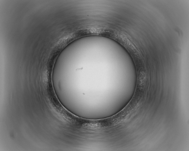 X0000112060639200908181159