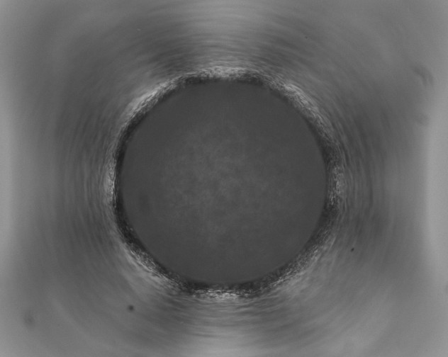 X0000112060640200908181159