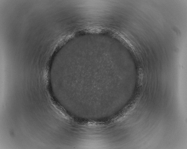 X0000112060641200908181159