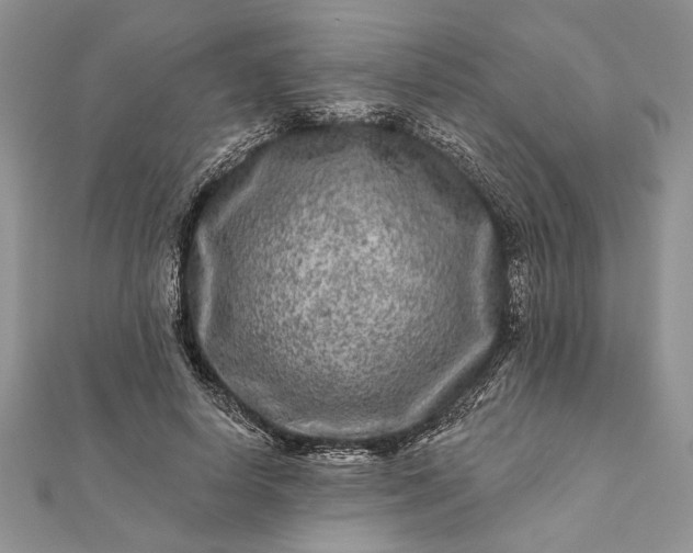 X0000112060642200908181159