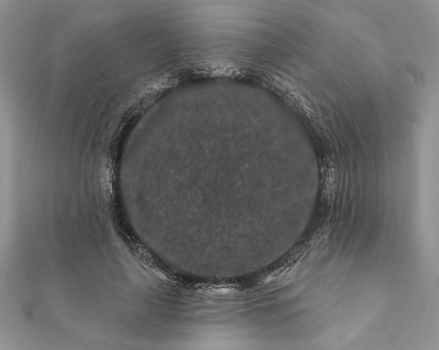 X0000112060643200908181159