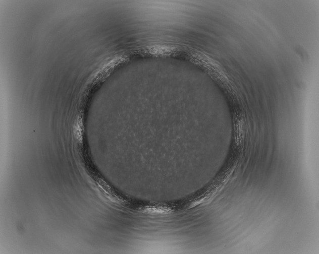 X0000112060644200908181159