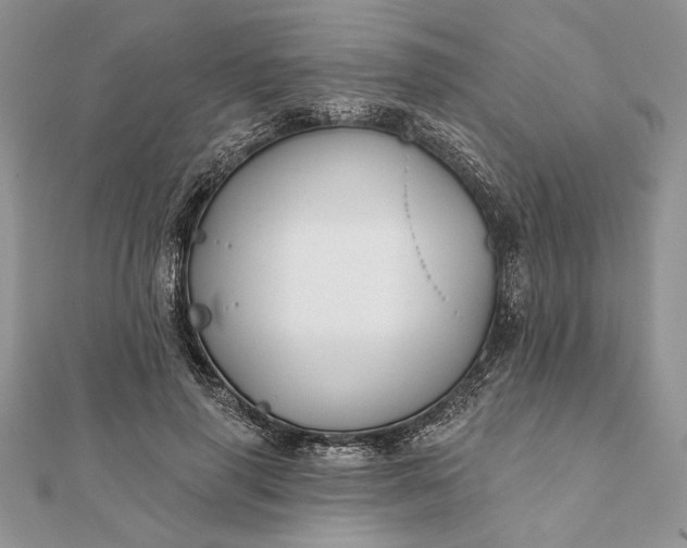 X0000112060645200908181159