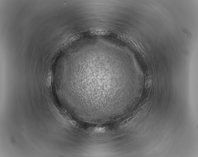 X0000112060647200908181159