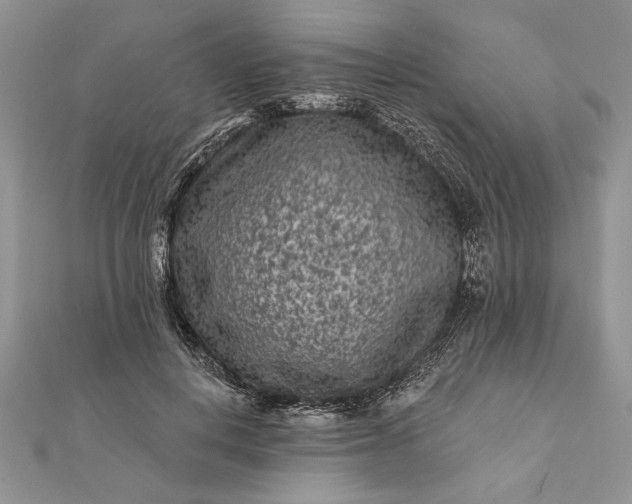 X0000112060648200908181159