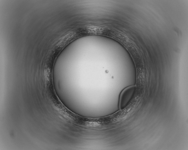 X0000112060649200908181159