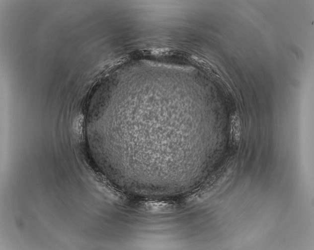 X0000112060650200908181159