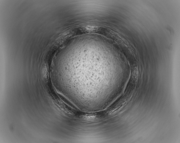 X0000112060651200908181159