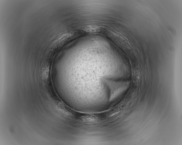 X0000112060652200908181159