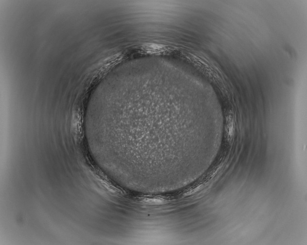 X0000112060653200908181159