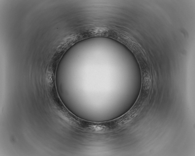 X0000112060654200908181159