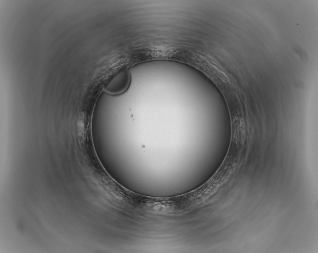 X0000112060655200908181159