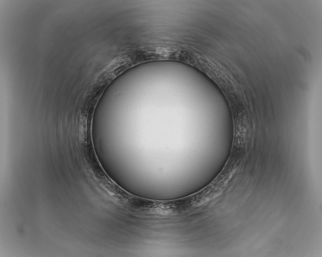 X0000112060656200908181159