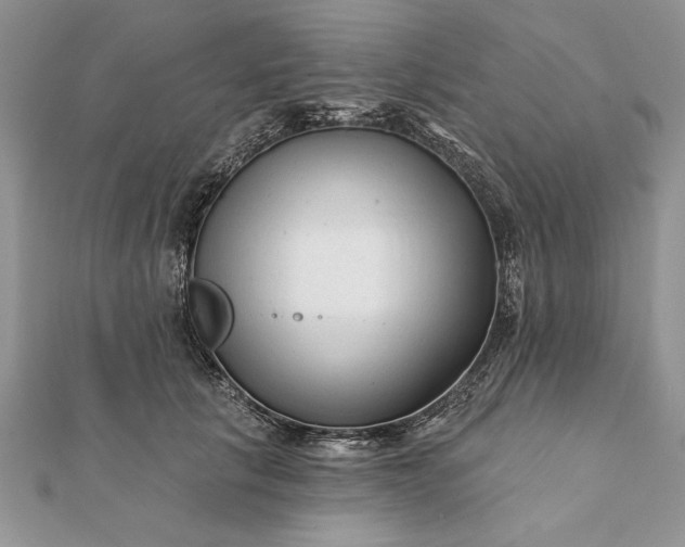 X0000112060657200908181159