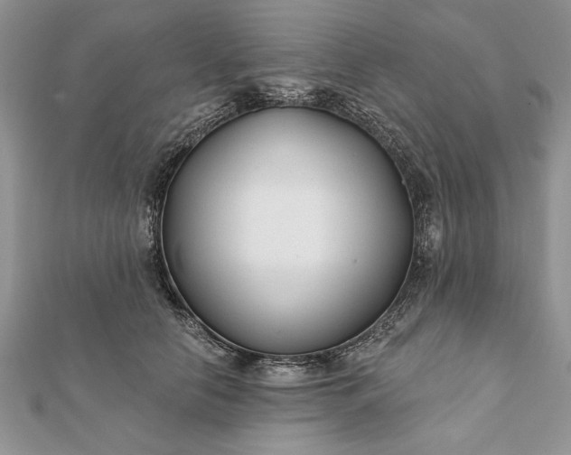 X0000112060658200908181159