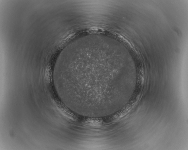 X0000112060659200908181159