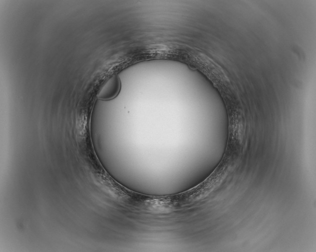 X0000112060660200908181159