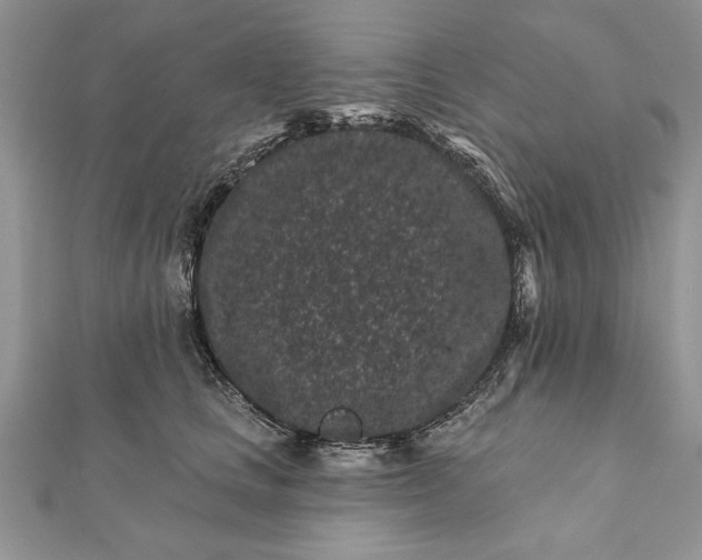 X0000112060661200908181159