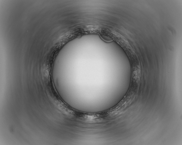 X0000112060662200908181159