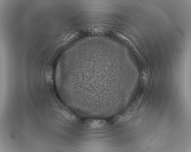 X0000112060663200908181159