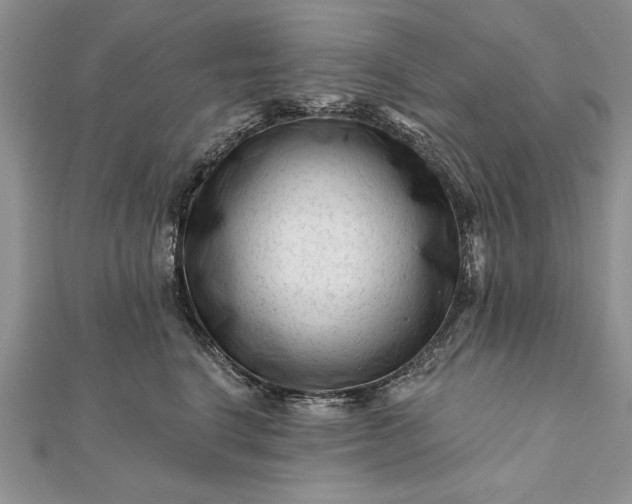 X0000112060664200908181159