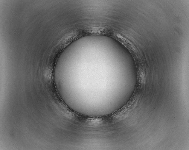 X0000112060665200908181159