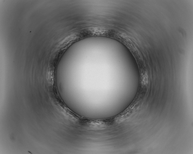 X0000112060666200908181159