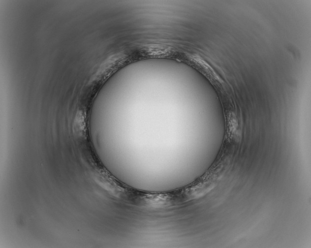 X0000112060667200908181159