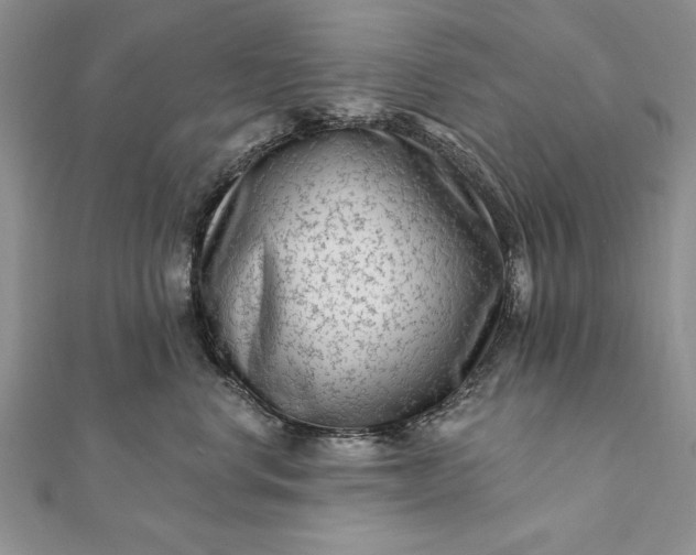 X0000112060668200908181159