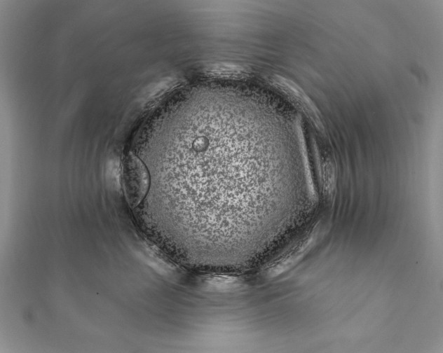 X0000112060669200908181159