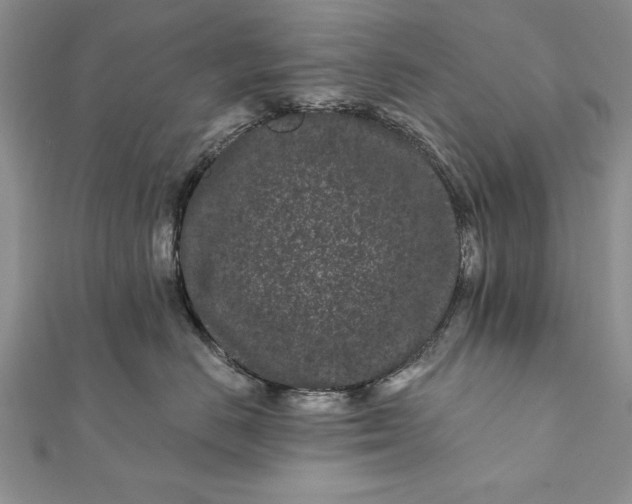 X0000112060670200908181159