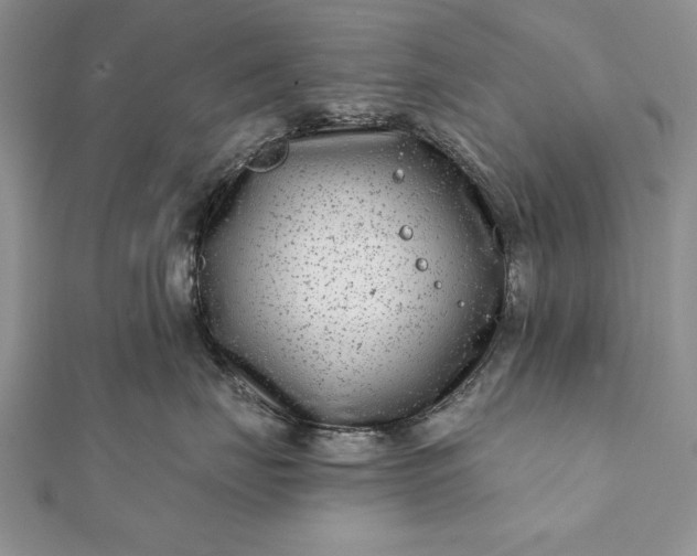 X0000112060671200908181159