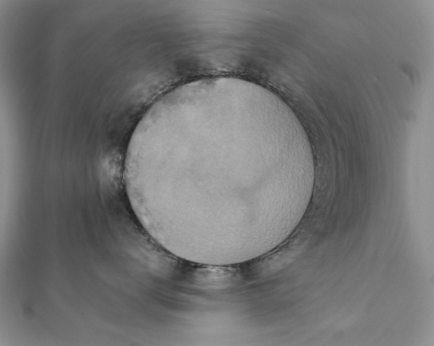 X0000112060672200908181159