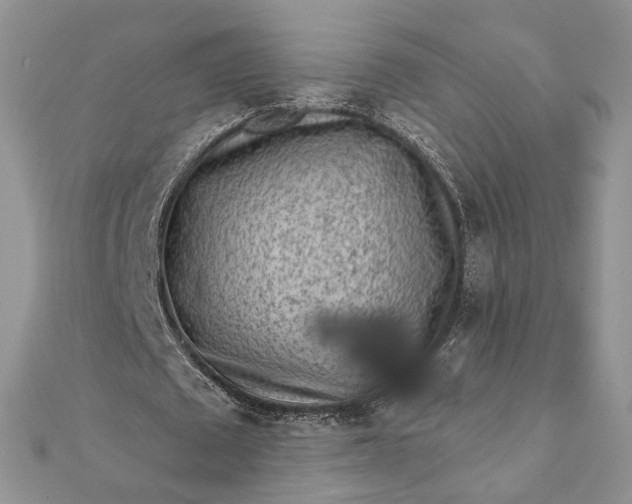 X0000112060673200908181159